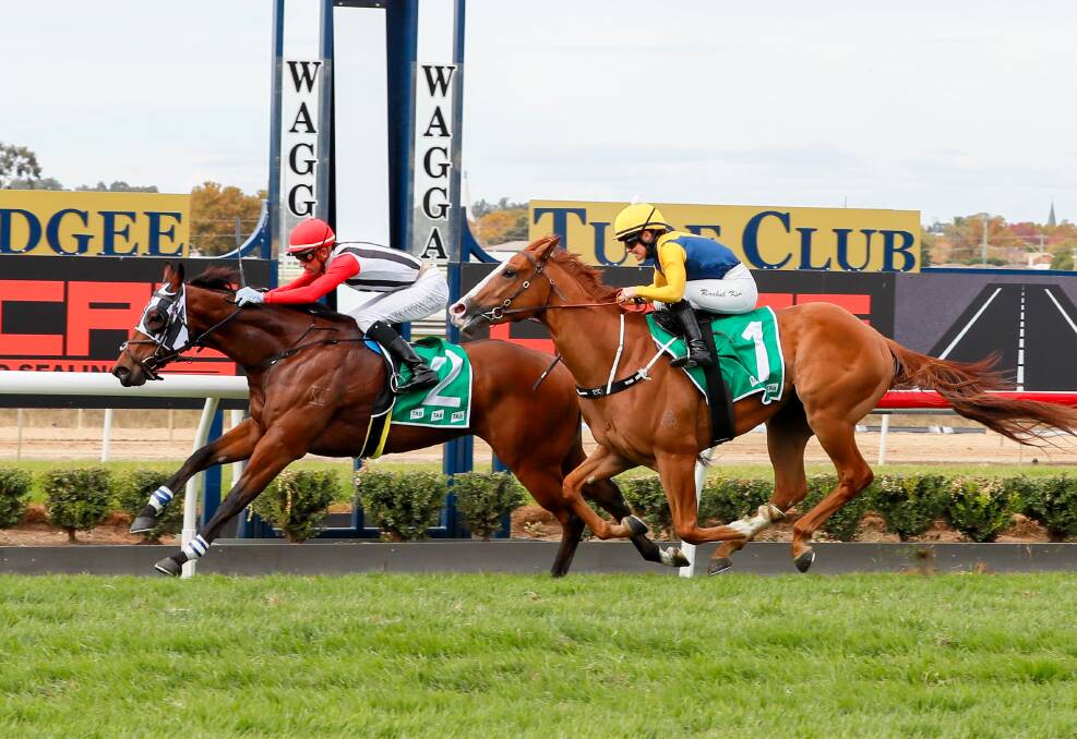 Finn's The Icon backed up his maiden victory with an all-the-way win in the Class One Showcase Handicap (1200m) for Tumut trainer Kerry Weir. Picture by Les Smith