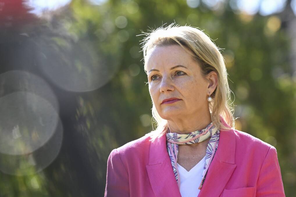 Farrer MP Sussan Ley says she welcomes the challenge at the next federal election from independent group Voices of Farrer. Picture by Mark Jesser