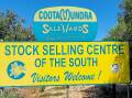 Cootamundra Saleyards is set to close after 93 years of service. Picture supplied 