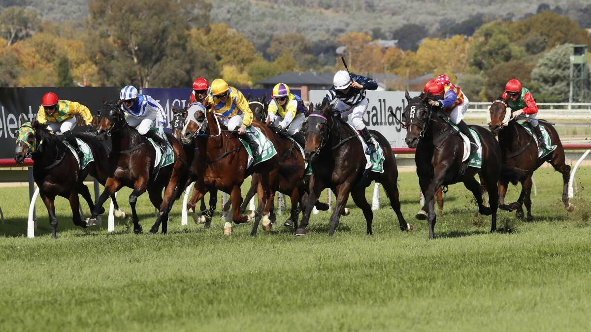 Racing kicks off at Murrumbidgee Turf Club for the Town Plate and Gold Cup on May 3-4. Picture by Les Smith 