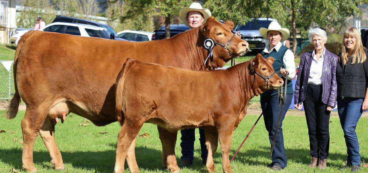 SEEDSTOCK SUCCESS: Glenn and Susie Trout pictured with Annette Tynan and Gigi Costenaro and the grand champion female at the Limousin National Show and Sale.