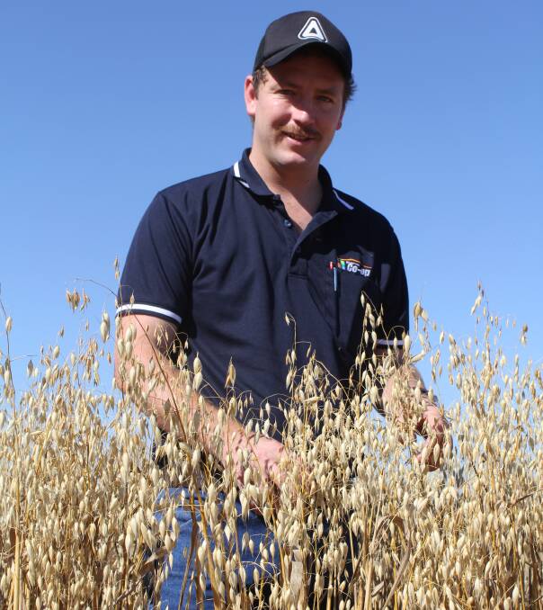 FIELD LEADER: Tim Tarlinton, who is inspecting an oat crop near Wagga, has been selected as a top 10 finalist in the Young Agronomist of the Year Awards. Picture: Nikki Reynolds