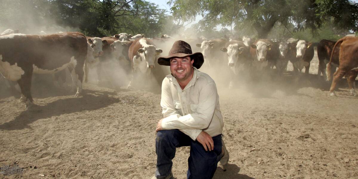 IN THE BOX SEAT: Seed stock producer Marc Greening is the principal of Injemira Beef Genetics located at Book Book in southern NSW. He also attends the southern weaner sales as a buyer.