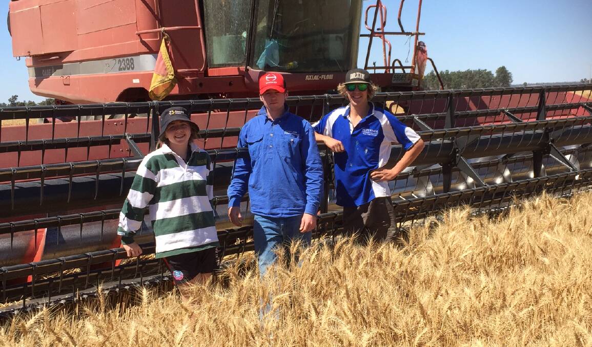 RESULTS FOCUS: Georgia Quinn, Tom Quinn and Mitchell Condell are pictured with a crop of wheat located near Ganmain which won a crop competition. 