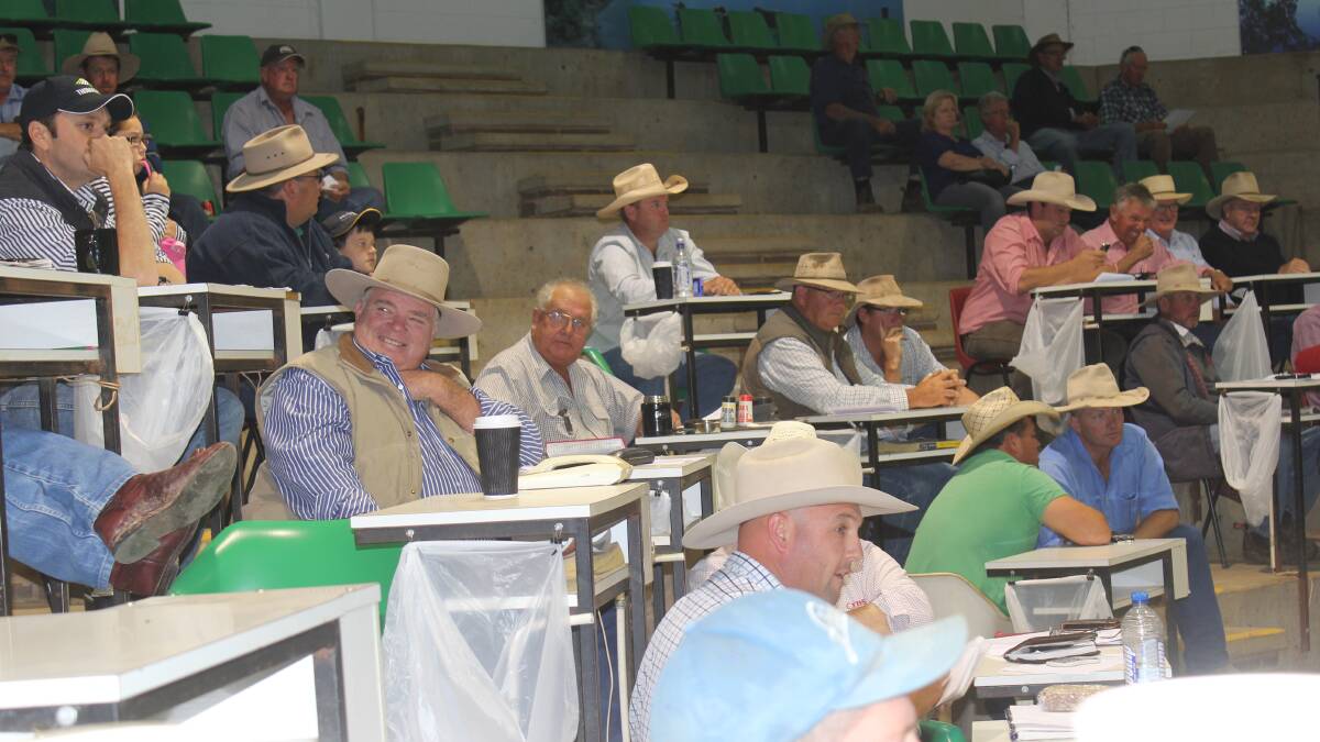 "SALE-O:" Buyers pictured at the Wagga Livestock Marketing Centre.