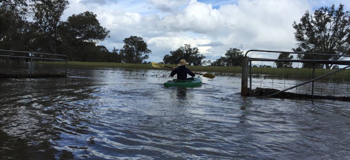 NO BOUNDARIES: Wagga agronomist Elissa Strong of Delta inspects waterlogged crops near Wagga. Picture: Madeline Strong