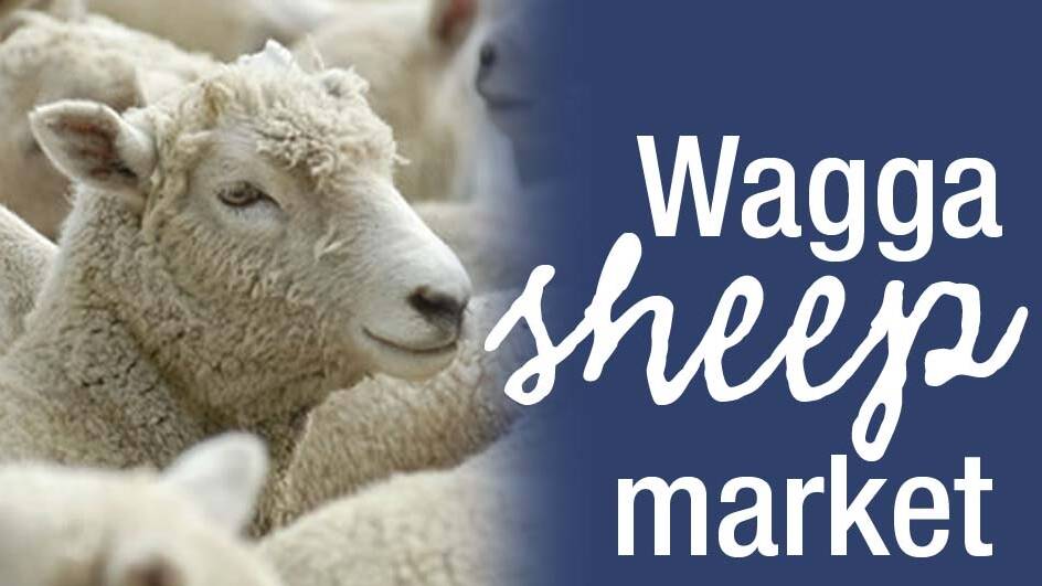 Vendors will sell 30,350 at the Wagga sheep sale