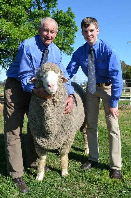 Willandra Merino stud, Jerilderie studmaster Ross Wells with his grandson Angus Heath and the top-priced ram which made $81,000. Picture: Stephen Burns