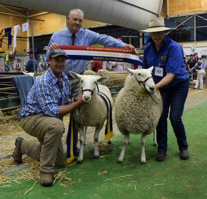 RESULTS: Jamie Buerckner with the reserve grand champion ewe, bred judge Trevor James and Retallack's Isabella Grinter with the grand champion Border Leicester ewe. 