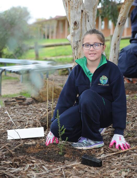 Lutheran Primary School students get down to work at Schools Tree Day. 
