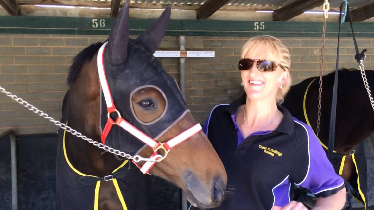 BEHIND THE SCENES: Strapper Melissa Kennedy preparing Midnight Obsession for the Gold Cup at the Murrumbidgee Turf Club on Friday.