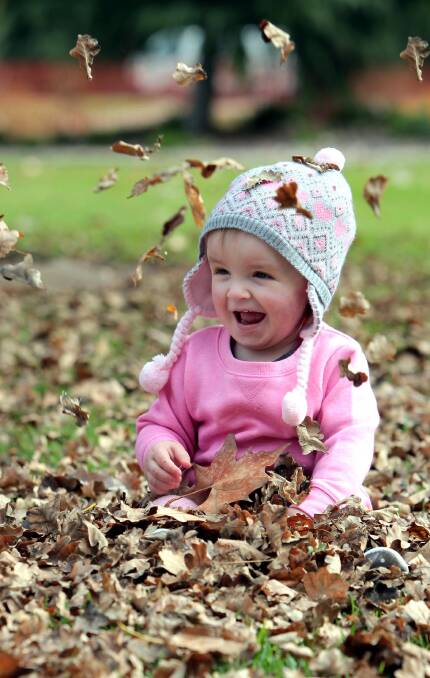 COOLER MONTHS AHEAD: Tauriel Payton, 15 months, plays in the leaves as autumn draws to an end and Wagga residents prepare to welcome winter. Picture: Les Smith