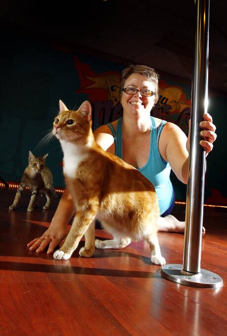FURRY FRIENDS: Wagga Pole Studio owner Jen Spinner with Ginger the cat ready for cat yoga. Picture: Les Smith