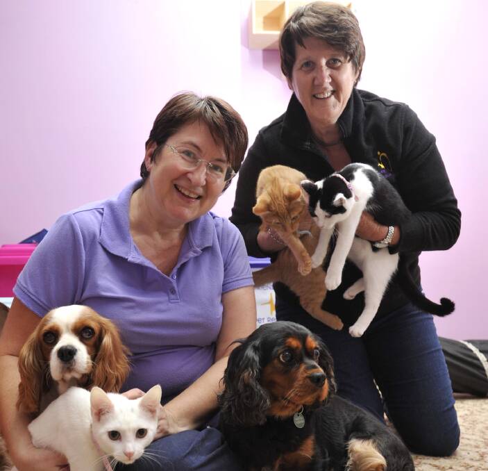 FURRY FRIENDS: Best Friends Pet Rescue group president, Janey Adams, and secretary, Maureen Turk, with rescued cavaliers, Mandy and Maisie, and some of the nine cats that Maureen currently has in care. Picture: Les Smith