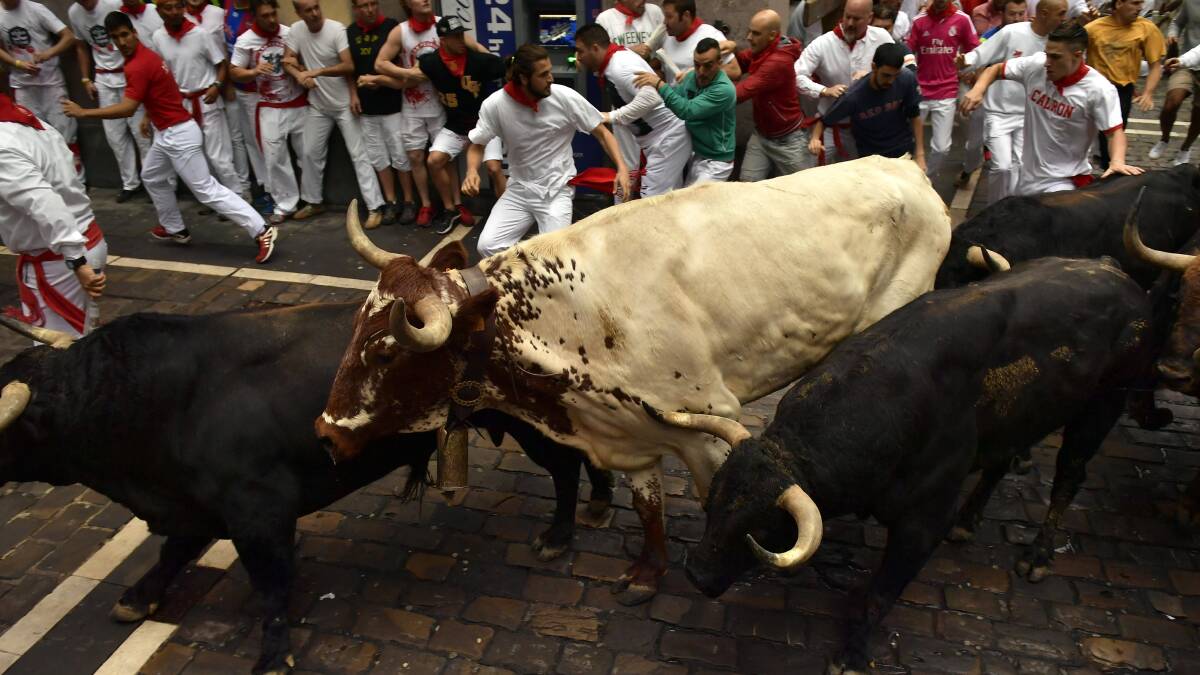 One reader thinks the running of the bulls in Spain is a form of animal cruelty, not a tourist attraction.