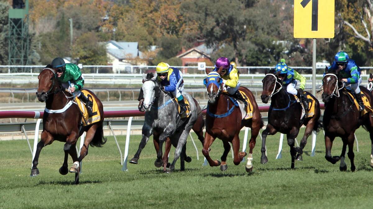 HOME: For Me Dad leaves her rivals for dead on Gold Cup day at Wagga. Picture: Les Smith