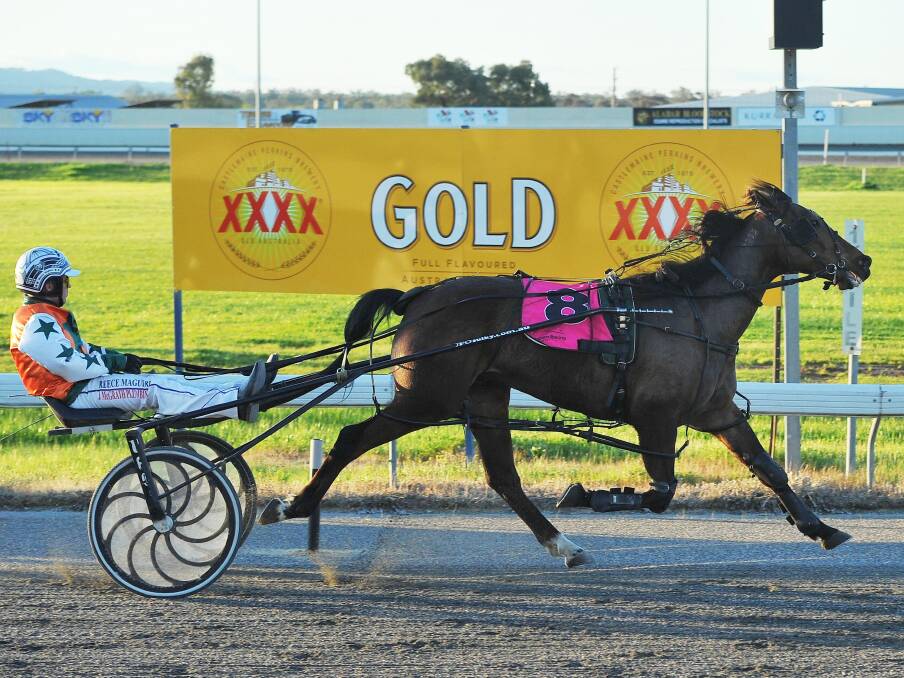 HOME AND HOSED: Reece Maguire guides Glenburn Addy to victory in the opening event at Wagga Paceway on Friday night.