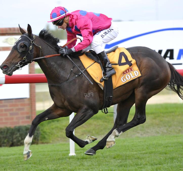EASY WIN: Baylie Louise cruises to victory in the Guineas Prelude with Brendan Ward in the saddle at Wagga on Tuesday. Picture: Les Smith