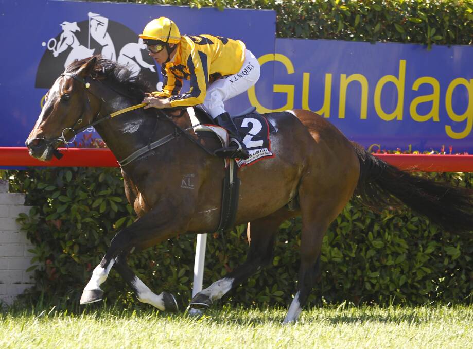 CITY TEST: Aussie James winning at Gundagai for Nick Souquet in November. The six-year-old will race at Warwick Farm on Wednesday. Picture: Les Smith