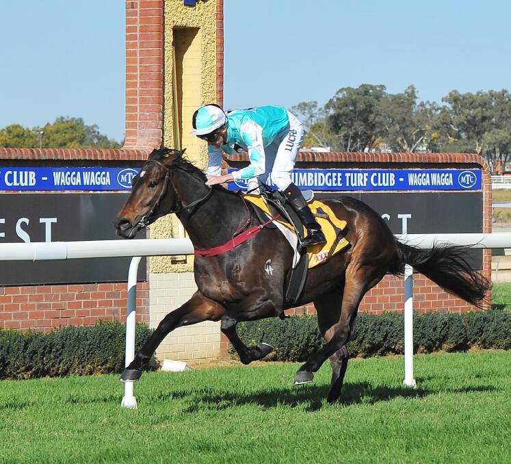 MOVED ON: High Opinion winning at Murrumbidgee Turf Club earlier this year.