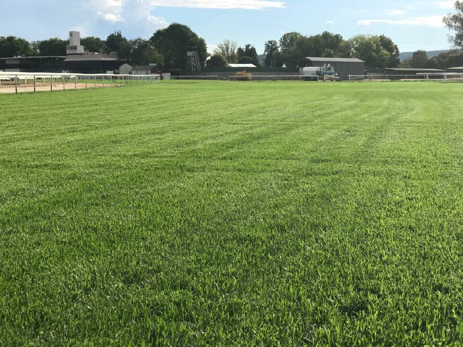 TOP CONDITION: The Albury track is still in good order despite heavy rain this week. Picture: Albury Racing Club