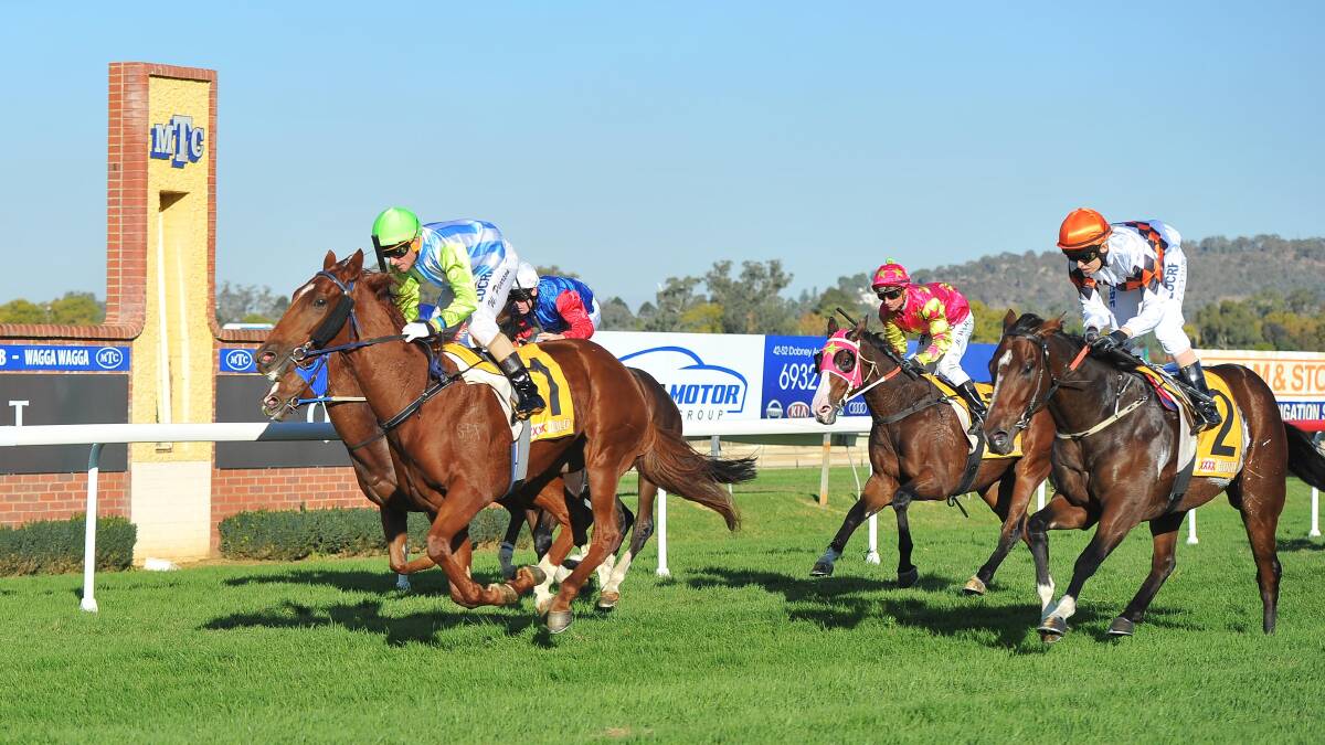 MAJOR PLAYER: Challenge Accepted, pictured winning at Wagga last start, has been best backed on Wagga Gold Cup day. Picture: Kieren L Tilly