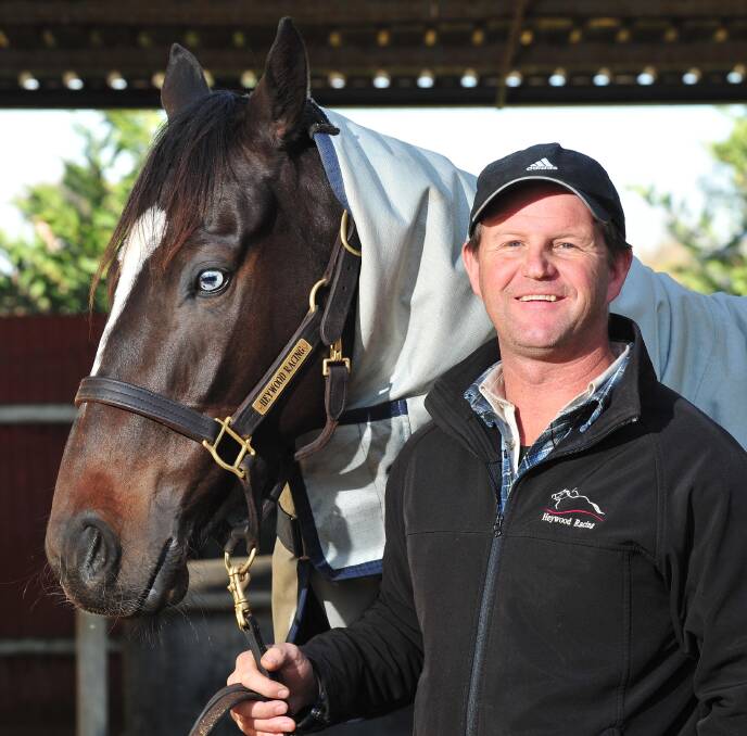 ROAD TRIP: Wagga trainer Chris Heywood will have blue-eyed Leucura race at Moonee Valley on Friday night, one of three Southern District horses in. Picture: Kieren L Tilly