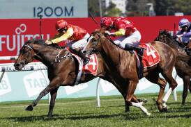 Rocketing By (inside) defeats In The Congo to win the $2 million Sydney Stakes back in October, 2023. Picture by sportpix.com.au