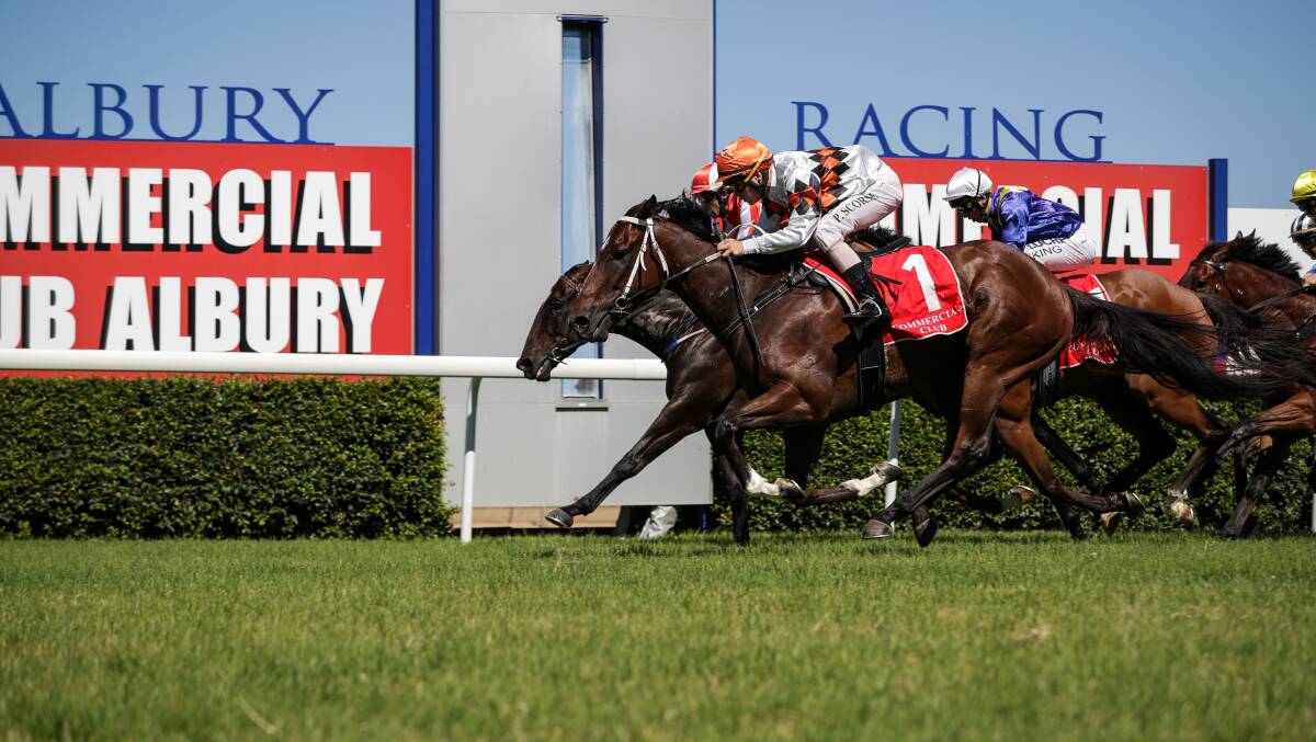 DECEPTIVE FINISH: Vinnie Vega (outside) grabs Tycoon Tony right on the line to win at Albury on Thursday. Picture: James Wiltshire