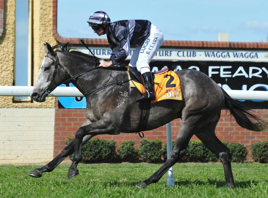 WINNING CHANCE: Not Too Sure, pictured winning at Wagga, is one of Chris Heywood's better prospects at Albury's TAB meeting on Thursday. Picture: Les Smith