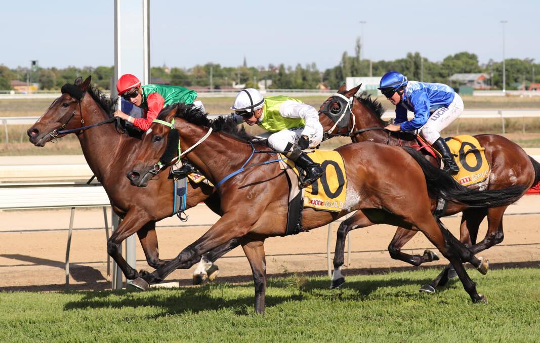 CLOSE CALL: Danetrille (outside) running second at Wagga two starts back. Picture: Les Smith