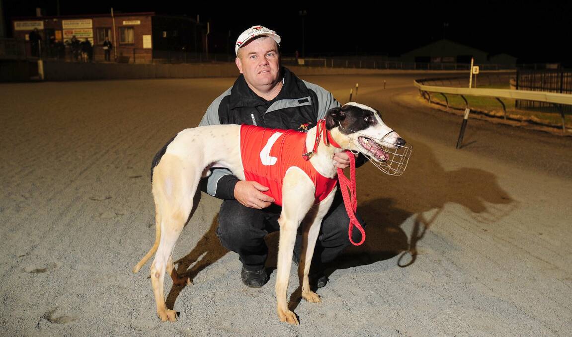 MAJOR PLAYER: Cowra trainer Rodney McDonald, pictured with Take The Apache, will have 13 dogs race at Wagga on Friday night. Picture: Kieren L Tilly