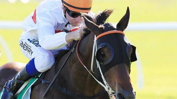 TOP ELECT: Messene is the $5.00 equal favourite for the Wagga Gold Cup with TAB.