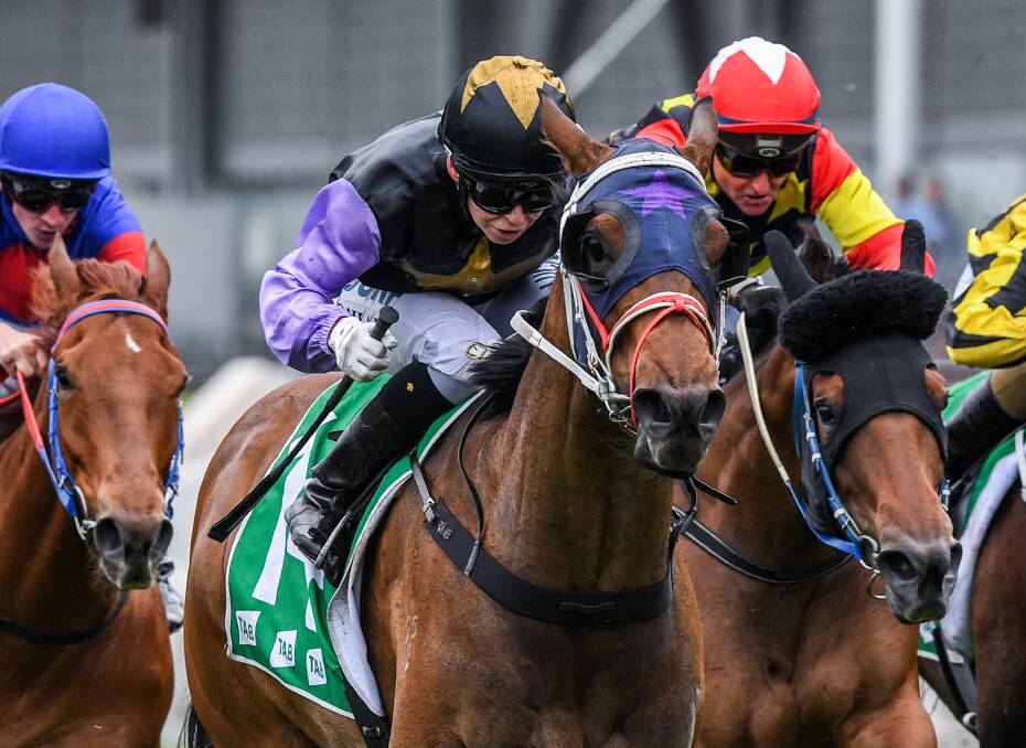 Neyla's Girl, far right, finishes fifth in what turned out to be her final race at Rosehill on November 4. Picture: AAP
