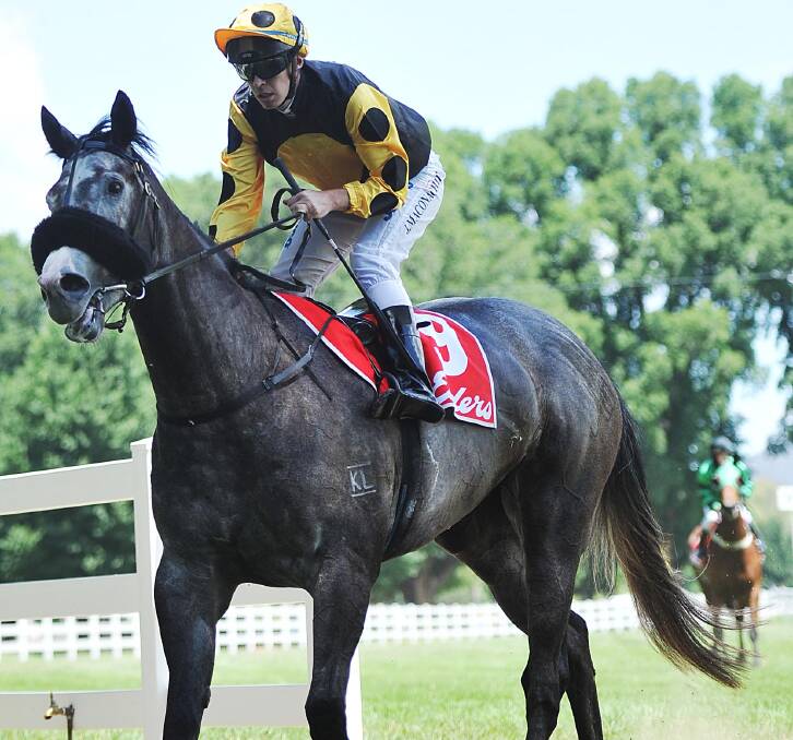 WINNER: Wagga-trained mare Dougary Girl, pictured winning at Tumut, broke through for a win at Corowa on Tuesday.