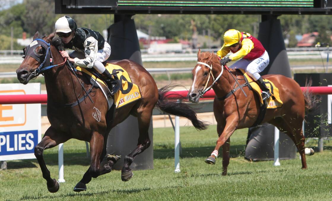CHANGE OF PLANS: Lord Von Costa, pictured winning his maiden at Wagga, has been ruled out of the Country Championships. 