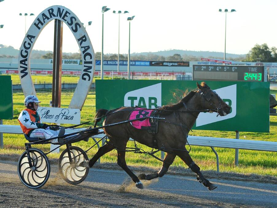 JOB DONE: Glenburn Addy cruises to victory for driver Reece Maguire in the opening race at Wagga Paceway on Friday night. 