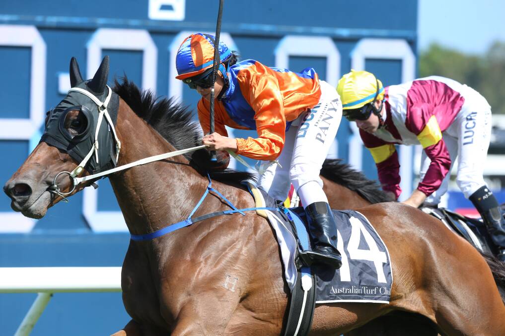 My Psychiatrist, with Deanne Panya in the saddle, wins the ATC Members Christmas Handicap at Rosehill in December. Picture: Bradleyphotos.com.au