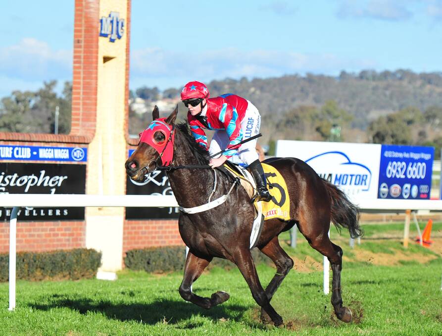 Baby Don't Cry winning at Wagga last week. The mare is nominated for Sunday's Wagga Whiz. Picture: Kieren L Tilly
