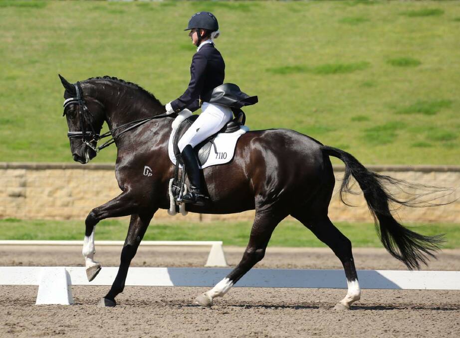 ALL CLASS: Wagga's Sharon Potter rides Bradgate Park Delilah at the NSW Dressage Championships in Sydney.