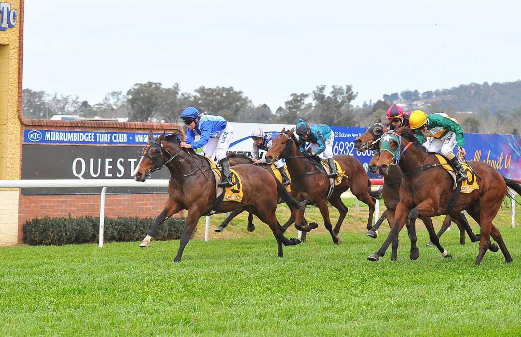 STRONG WIN: Tumut galloper Bondo (left) claims the Microtech DPS Class Three Handicap (1200m) at Murrumbidgee Turf Club on Tuesday. Picture: Kieren L Tilly