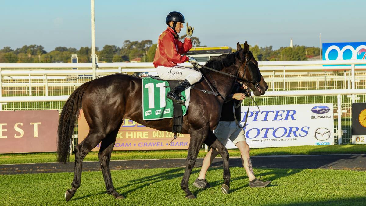 The Prodigal Son, with Jason Lyon in the saddle, returns after their win in the Wagga Town Plate Prelude last month. Picture by Bernard Humphreys