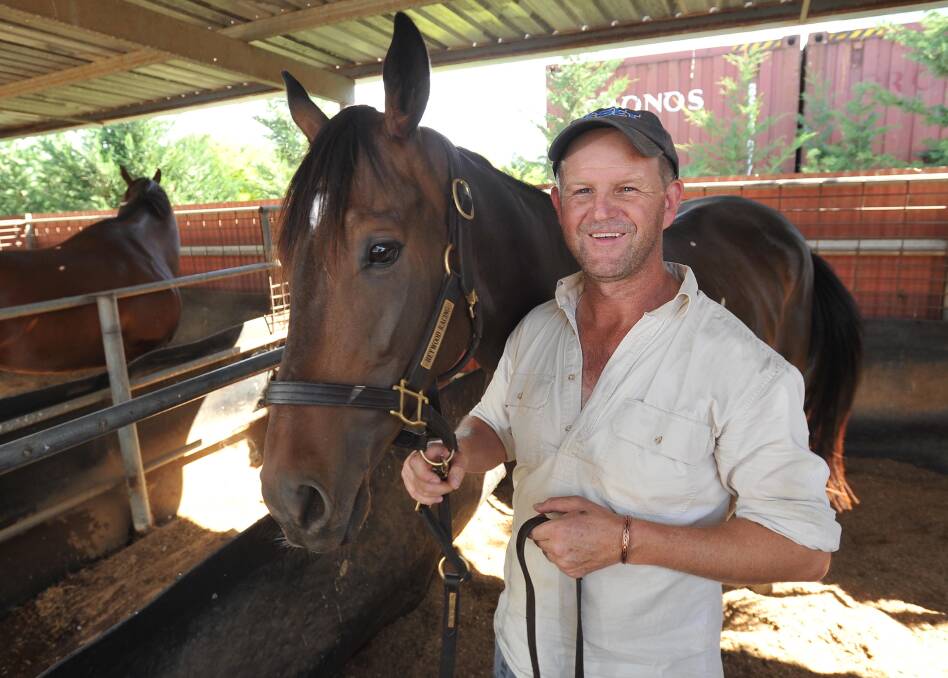 READY TO GO: Wagga trainer Chris Heywood puts the finishing touches on High Opinion at his stables on Wednesday. Picture: Laura Hardwick