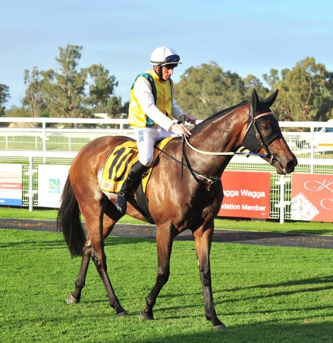CLASS RUNNER: Canberra-based jockey Simon Miller will reunite with Man Of Peace in the Rivcoll-Aggies Flying (1000m) at Murrumbidgee Turf Club on Saturday. Picture: Kieren L Tilly