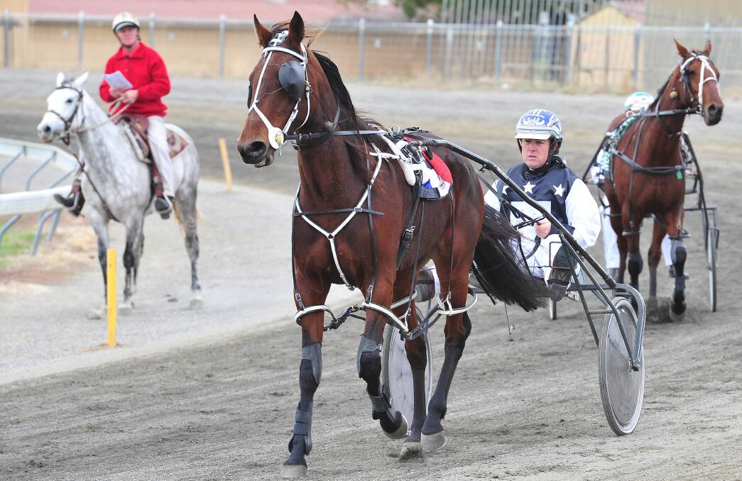 IN THE HOT SEAT: Adam Jenkins returns a winner on Killara Ninja last year. Jenkins will drive her half brother, Killara Kaos, in a heat of the Breeders Challenge at Young on Thursday, in the same colours.