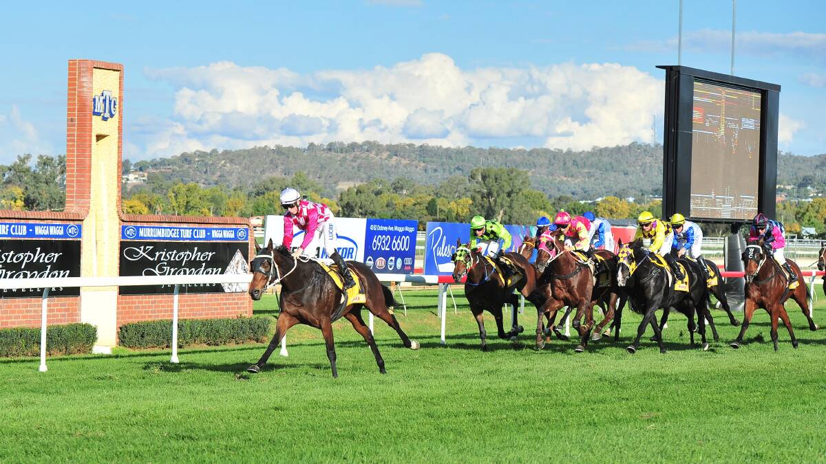 Rose's Song bolts in to win the Murrumbidgee Cup.