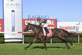 Fawkner Park, with Tyler Schiller in the saddle, winning the Albury Gold Cup in March. Picture by The Border Mail