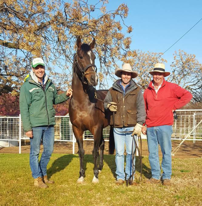 Richie, Angus and Stuart Lamont with The Brothers War at Kooringal Stud.