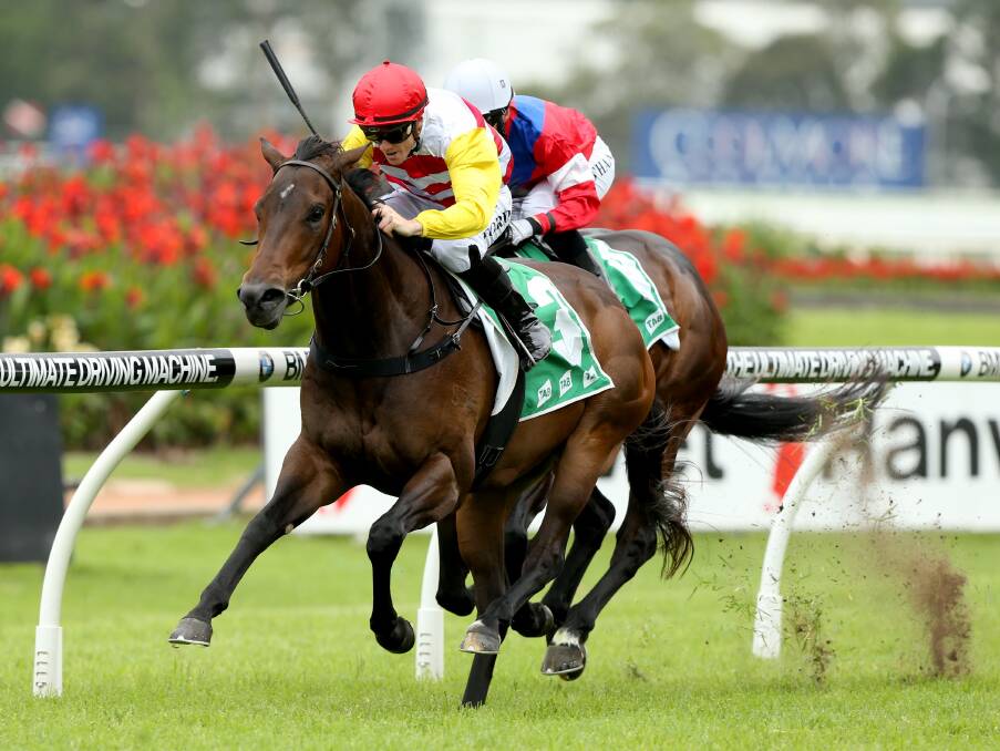 HORSE TO BEAT: The Matthew Dale-trained Bitburg, pictured winning a TAB Highway Handicap at Rosehill, will take beating in a strong Wagga Scamper at Murrumbidgee Turf Club on Tuesday. Picture: bradleyphotos.com.au