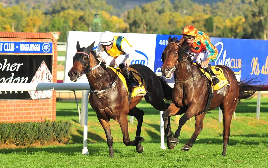 TIGHT FINISH: Man Of Peace holds out Got The Goss to win the Bede Murray Town Plate Prelude (1200m) at Murrumbidgee Turf Club on Sunday. Picture:  Kieren L Tilly
